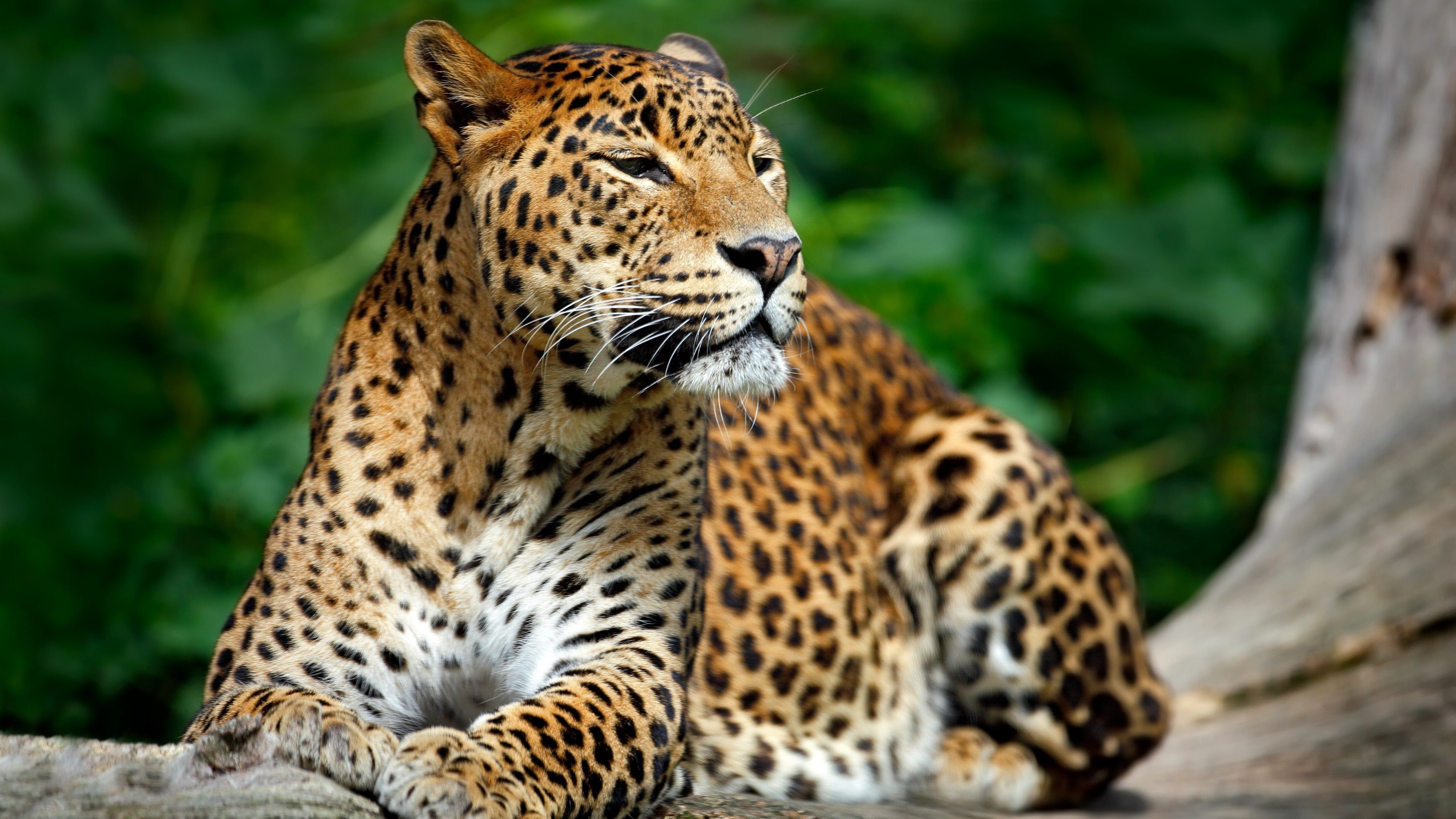 Sri Lanka Destinations <br /> & Tailored Tours